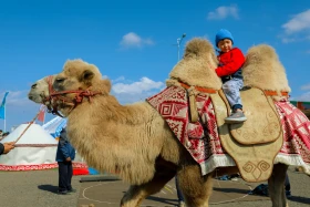 Дүниежүзілік көшпенділер ойындары2024: Бүгін этноауыл - фото 10