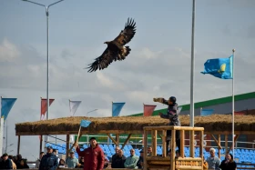 Игры кочевников: Каковы правила приручения беркута - фото 9