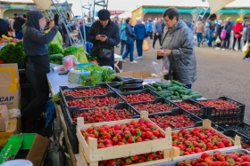 An agricultural fair of Abai and Kyzylorda regions is taking place in Astana - photo 5
