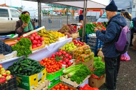 An agricultural fair of Abai and Kyzylorda regions is taking place in Astana - photo 11