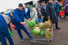 An agricultural fair of Abai and Kyzylorda regions is taking place in Astana - photo 12