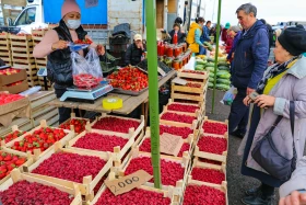 An agricultural fair of Abai and Kyzylorda regions is taking place in Astana - photo 14