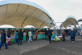 An agricultural fair of Abai and Kyzylorda regions is taking place in Astana - photo 16