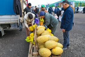 An agricultural fair of Abai and Kyzylorda regions is taking place in Astana - photo 19