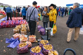 An agricultural fair of Abai and Kyzylorda regions is taking place in Astana - photo 20