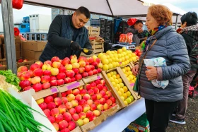 An agricultural fair of Abai and Kyzylorda regions is taking place in Astana - photo 1
