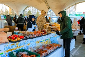 Астанадағы Ақмола облысының ауыл шаруашылығы жәрмеңкесі - фото 9