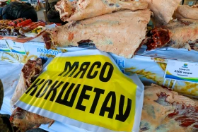 Астанадағы Ақмола облысының ауыл шаруашылығы жәрмеңкесі - фото 10