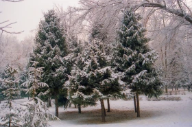 90-шы жылдардағы Алматының орталық көшелері - фото 11