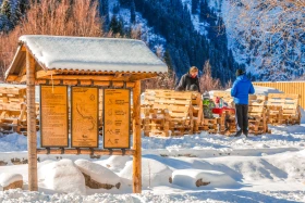 Үлкен Алматы шатқалы Іле-Алатауы - фото 10