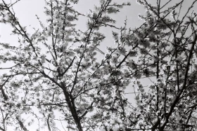 90-жылдардағы Алматының жаңа сәулеті - фото 3