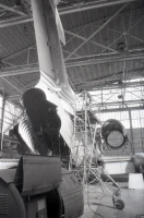 Ескі Алматы әуежайы - фото 8