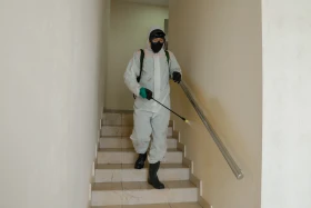 Covid-19: Елордада дезинфекция қалай жүргізіледі - фото 6