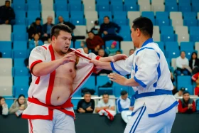 Президент іс басқармасы турнирі аясында қазақ күресінен мықтылар анықталды - фото 8