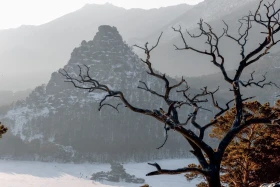 Бурабайдың қысқы ертегісі - фото 20