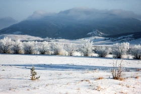 Бурабайдың қысқы ертегісі - фото 29