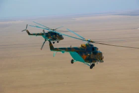 Полигондағы армия шеруі - фото 23