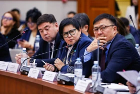 Депутат жер қойнауы заң жобасы турасында: Үкіметтің мүддесін қорғайтын баптар жоқ - фото 12