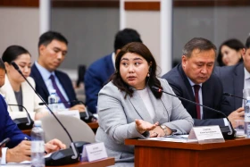 Депутат жер қойнауы заң жобасы турасында: Үкіметтің мүддесін қорғайтын баптар жоқ - фото 13