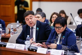 Депутат жер қойнауы заң жобасы турасында: Үкіметтің мүддесін қорғайтын баптар жоқ - фото 16