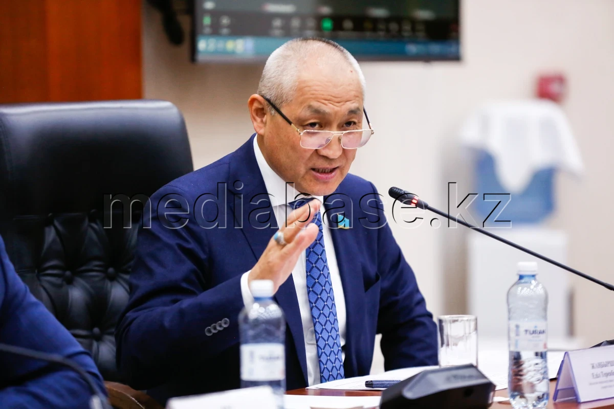 Депутат жер қойнауы заң жобасы турасында: Үкіметтің мүддесін қорғайтын баптар жоқ - фото 1