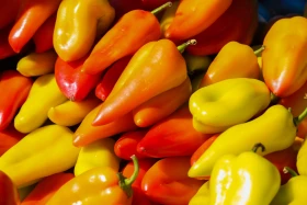 Астанадағы Мақтарал ауданының ауыл шаруашылық жәрмеңкесі - фото 3