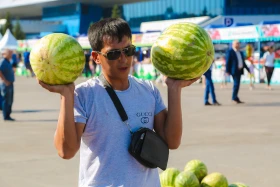 Астанадағы Мақтарал ауданының ауыл шаруашылық жәрмеңкесі - фото 7