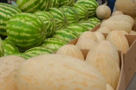 Астанадағы Мақтарал ауданының ауыл шаруашылық жәрмеңкесі - фото 13