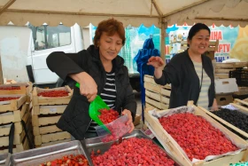 Астанадағы Мақтарал ауданының ауыл шаруашылық жәрмеңкесі - фото 15