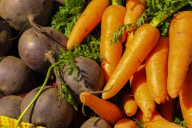 Астанадағы Мақтарал ауданының ауыл шаруашылық жәрмеңкесі - фото 17