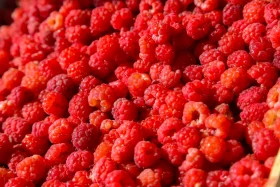 Астанадағы Мақтарал ауданының ауыл шаруашылық жәрмеңкесі - фото 18