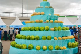 Астанадағы Мақтарал ауданының ауыл шаруашылық жәрмеңкесі - фото 19