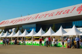 Астанадағы Мақтарал ауданының ауыл шаруашылық жәрмеңкесі - фото 25