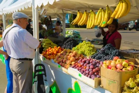 Астанадағы Мақтарал ауданының ауыл шаруашылық жәрмеңкесі - фото 27