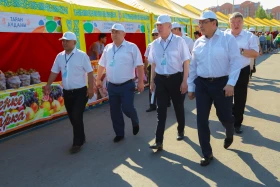 Астанадағы Мақтарал ауданының ауыл шаруашылық жәрмеңкесі - фото 28