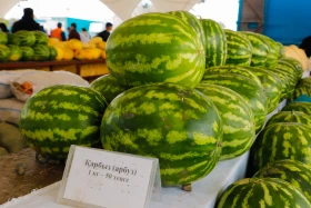 Астанадағы Мақтарал ауданының ауыл шаруашылық жәрмеңкесі - фото 31