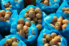 Астанадағы Мақтарал ауданының ауыл шаруашылық жәрмеңкесі - фото 34