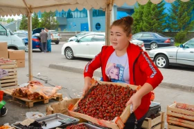 Астанадағы Мақтарал ауданының ауыл шаруашылық жәрмеңкесі - фото 36