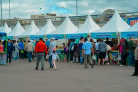 Астанадағы Мақтарал ауданының ауыл шаруашылық жәрмеңкесі - фото 40