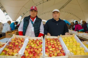 Астанадағы Мақтарал ауданының ауыл шаруашылық жәрмеңкесі - фото 41