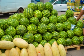 Астанадағы Мақтарал ауданының ауыл шаруашылық жәрмеңкесі - фото 43