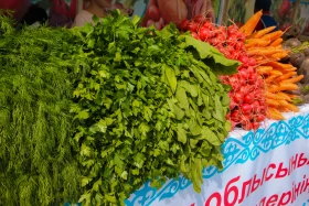 Астанадағы Мақтарал ауданының ауыл шаруашылық жәрмеңкесі - фото 45