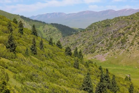 Ойжайлау Түрген шатқалы - фото 3