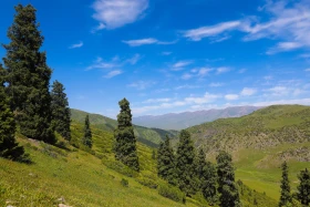 Ойжайлау Түрген шатқалы - фото 4