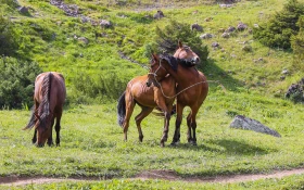 Ойжайлау Түрген шатқалы - фото 7