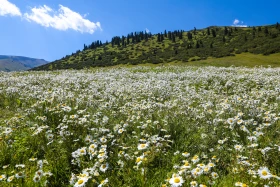 Ойжайлау Түрген шатқалы - фото 9