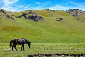 Ойжайлау Түрген шатқалы - фото 10