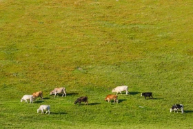 Ойжайлау Түрген шатқалы - фото 11