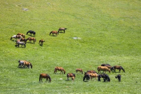 Ойжайлау Түрген шатқалы - фото 14