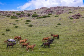 Ойжайлау Түрген шатқалы - фото 17